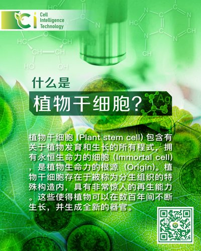 CICecoSystem tweet media