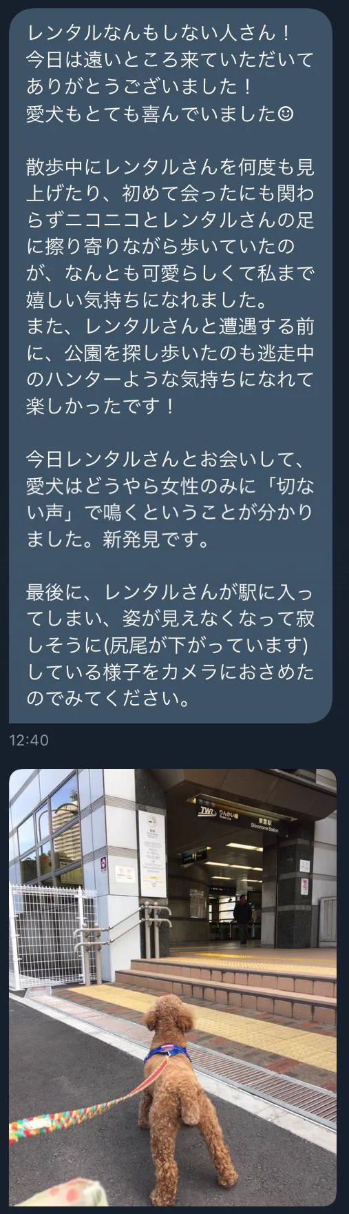 「散歩中の愛犬と遭遇して欲しい」という変わった依頼wwその理由とは...