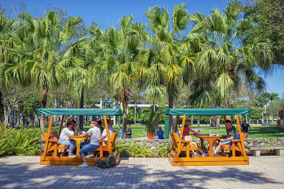 univmiami's tweet photo. Yes. It’s still winter. 🙌🌴☀️ #umiami https://t.co/dmhpbXGccR