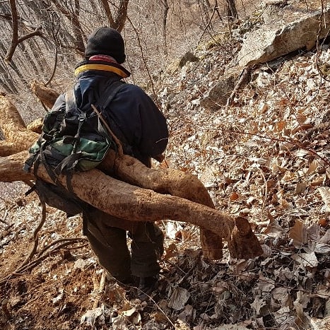 심령술사 (@aya1123380308) on Twitter photo 