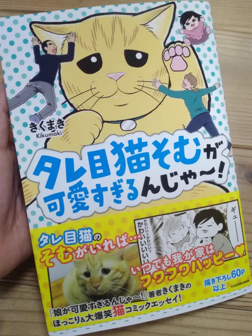 きくまきさん(@kikumaki00)の「タレ目猫そむが可愛すぎるんじゃ〜！」が届きましたー！やったー、しょむちゃんダイスキ！?

　#タレ目猫そむ #タレ目猫そむが可愛すぎるんじゃ… 