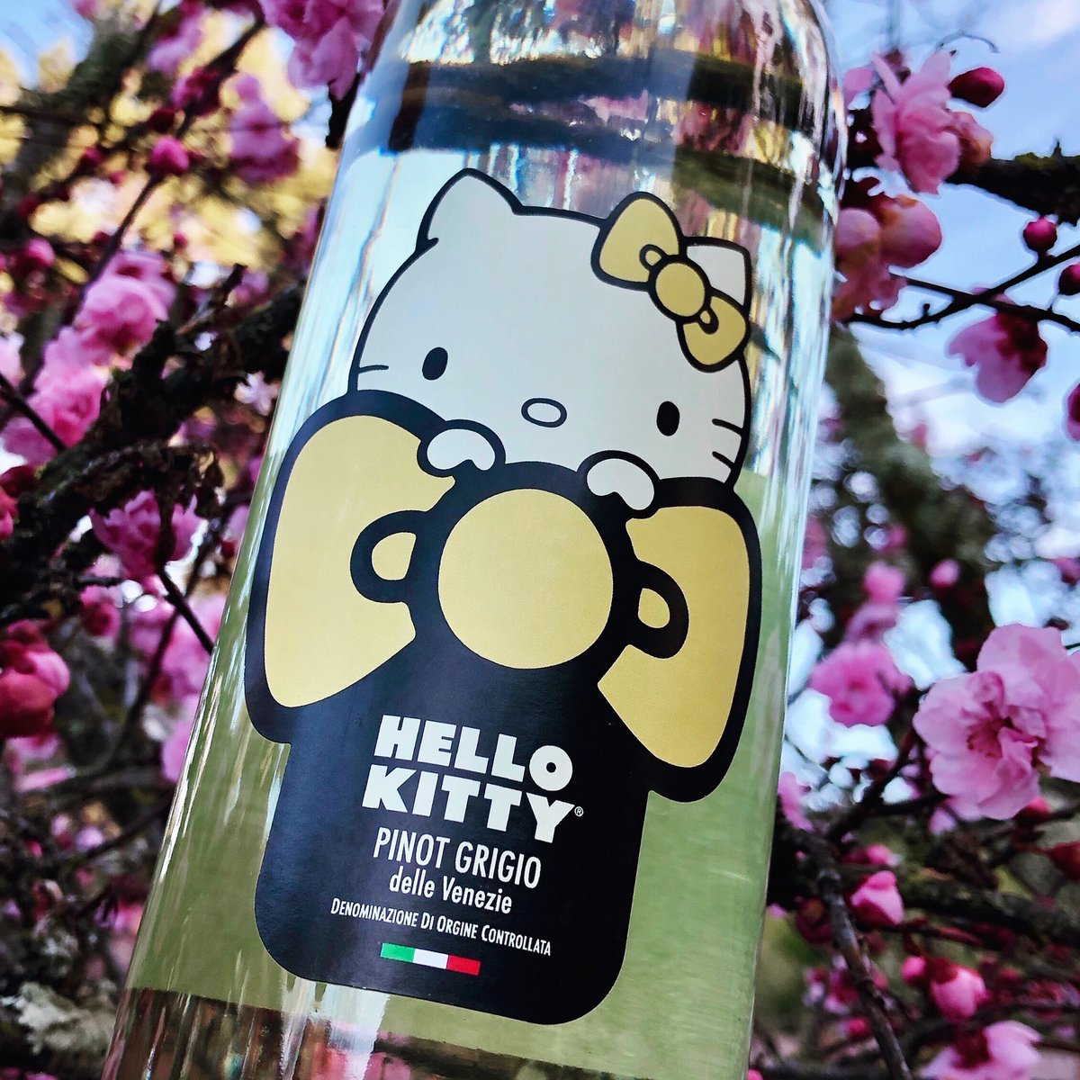 dannymangin's tweet photo. Someone in our household not named William saw this #HelloKittyWine at our local #nuggetmarket and said we *had* to try it. Okay, lad, but letโs hope itโs #notbad with chicken tonight. #Lookspretty with the #plumblossoms, anyway. https://t.co/gBpvHxUd1m
