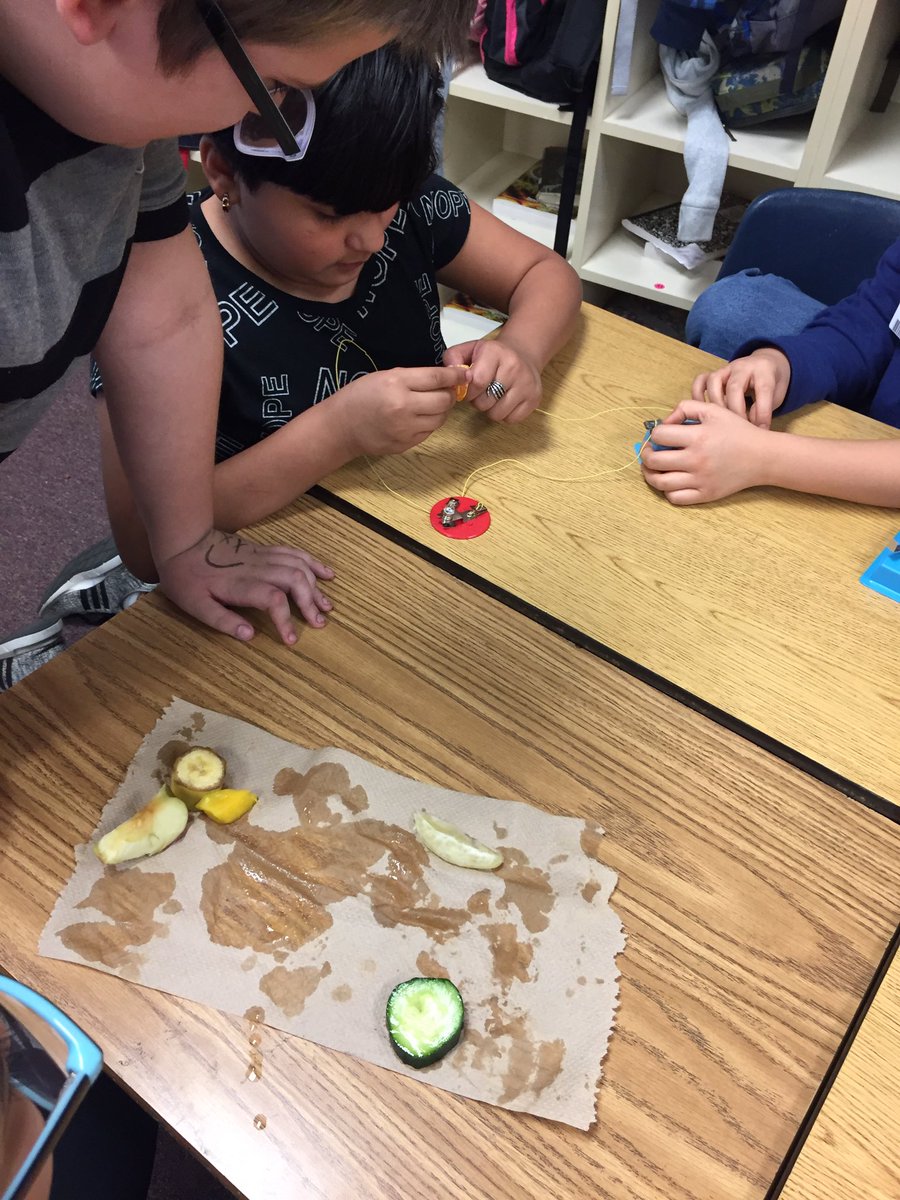 LauraKing0707's tweet photo. Having fun with fruit and veggie conductor and insulator electricity experiments. #groWHere https://t.co/L7WlYPVSSH