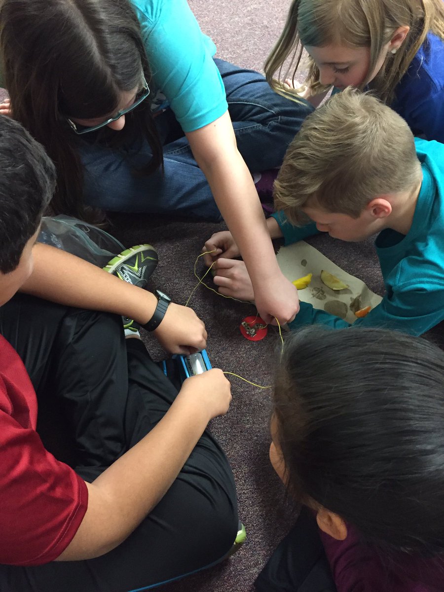 LauraKing0707's tweet photo. Having fun with fruit and veggie conductor and insulator electricity experiments. #groWHere https://t.co/L7WlYPVSSH
