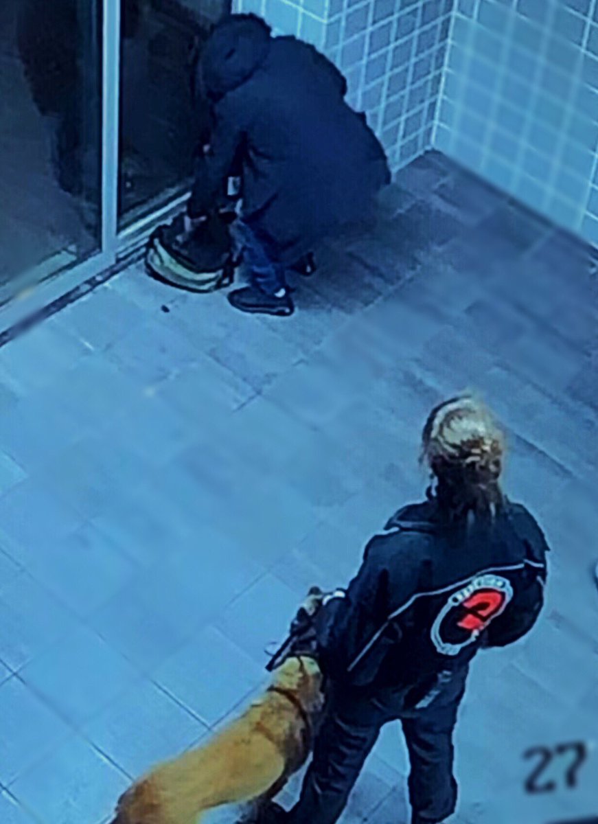 ReactionSec's tweet image. #Reaction #Security - Wij stoppen niet bij #observeren en rapporteren, wij #reageren ! #k9 #workingdog #shepherd #dogsoftwitter #beveiliging #doghandler