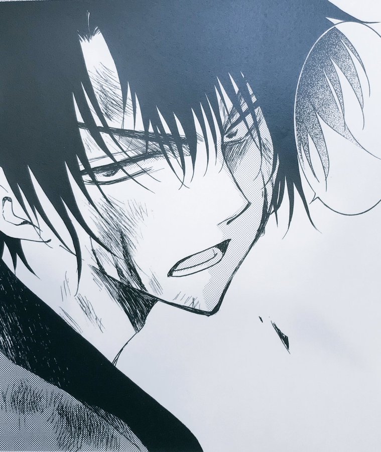 暁のヨナ ネタバレ 第171話 30巻 トゥーリ国軍一時撤退へ コレ推し マンガ恋心