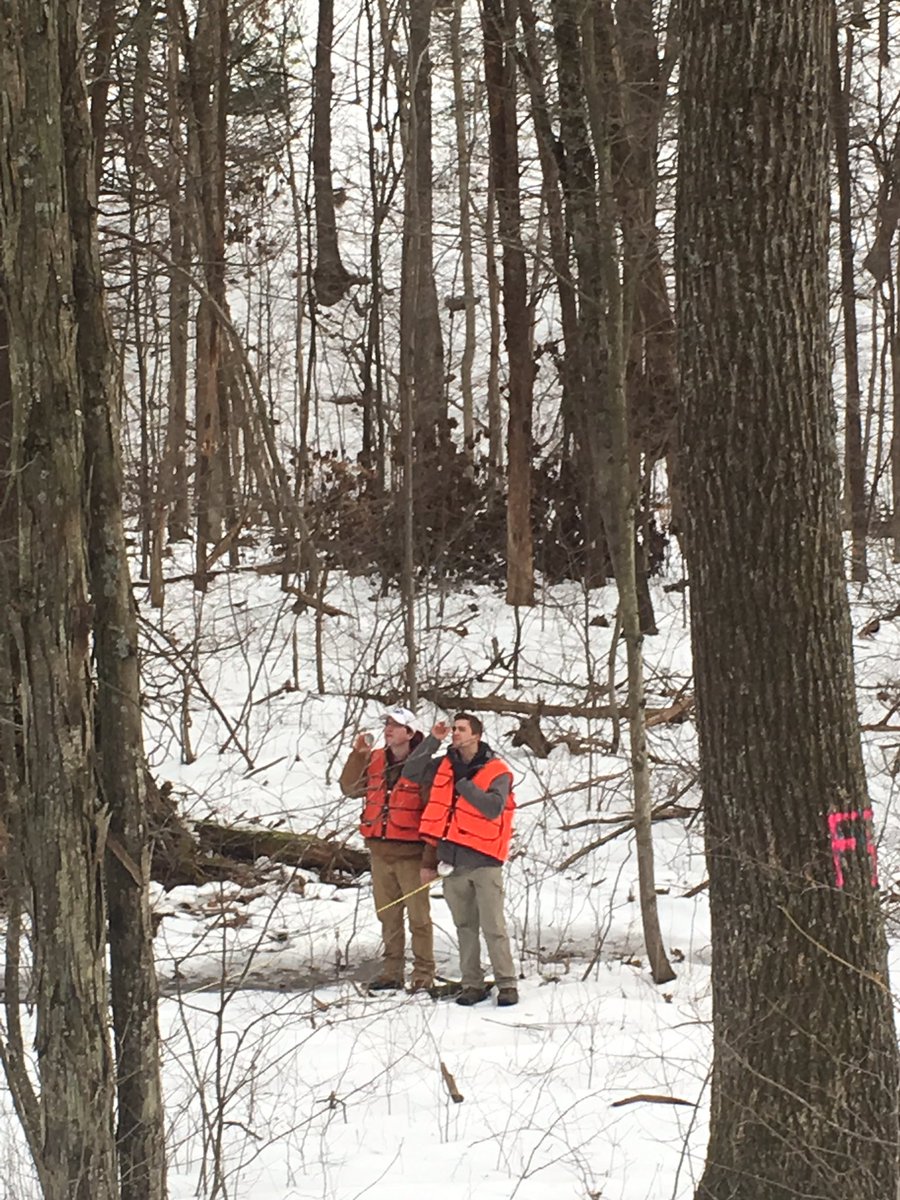 PSU_Forester's tweet photo. #PSUForesters in-training learning how to grade quality, volume and value of standing trees in @PSUecosystems forest measurements class in #StoneValleyForest https://t.co/AsmTbUJYRe