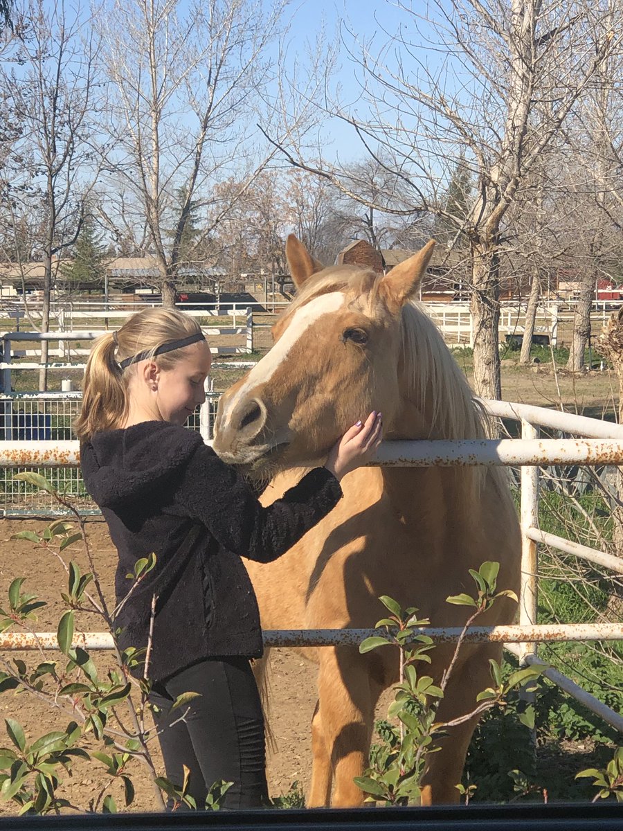 BattenBrighton's tweet photo. Animal lover 💛 some would say stop and smell the roses, but I say stop to pet horses💖 https://t.co/dvtK1il9jZ