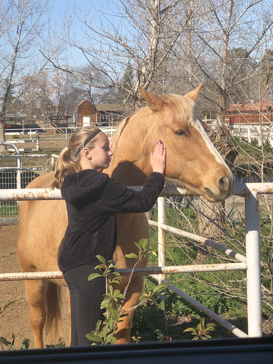 BattenBrighton's tweet photo. Animal lover 💛 some would say stop and smell the roses, but I say stop to pet horses💖 https://t.co/dvtK1il9jZ