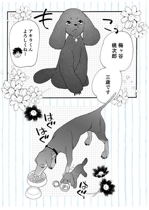 恋犬のtwitterイラスト検索結果 古い順