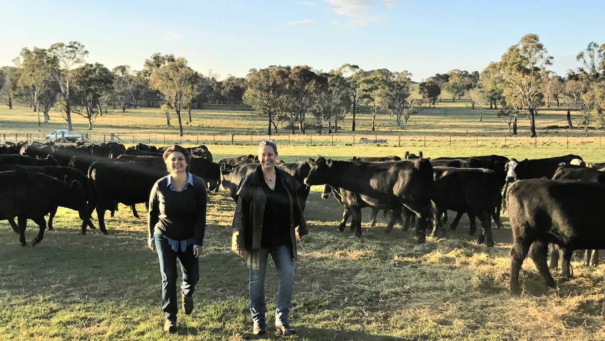 UniNewEngland's tweet photo. Supported by @JobsforNSW Local #Innovation Network and @unesmartri #Uralla farmers Anita Taylor and Sarah Burrows are developing an on-farm abattoir that will supply ethically processed and #sustainable meat. #growinglocaleconomies #unesri #futurenenw
https://t.co/Xh1tXQDpJn https://t.co/eZGjySZbSZ