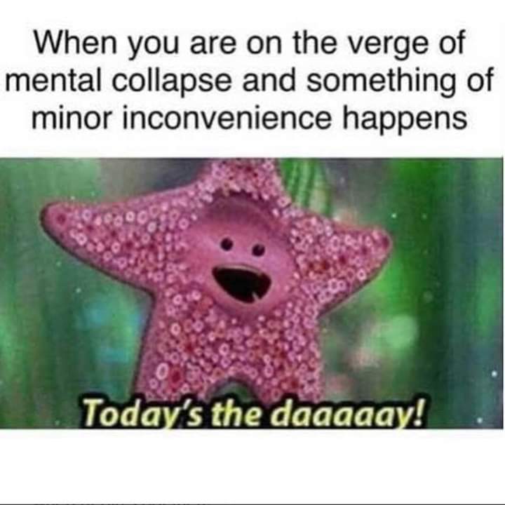 Forbidden Memes (@memes_forbidden) on Twitter photo 