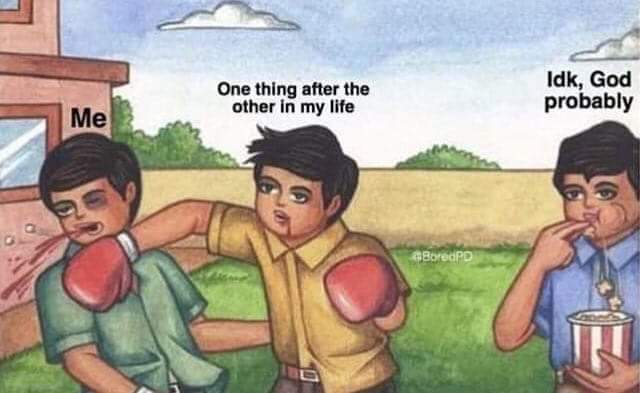 Forbidden Memes (@memes_forbidden) on Twitter photo 