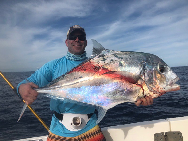 CaptDaveSchugar's tweet photo. What a beautiful #AfricanPompano caught by an angler on one of this week's reef and wreck combo charters. Just another day #fishing in the #FloridaKeys. https://t.co/WXVEnKpevI