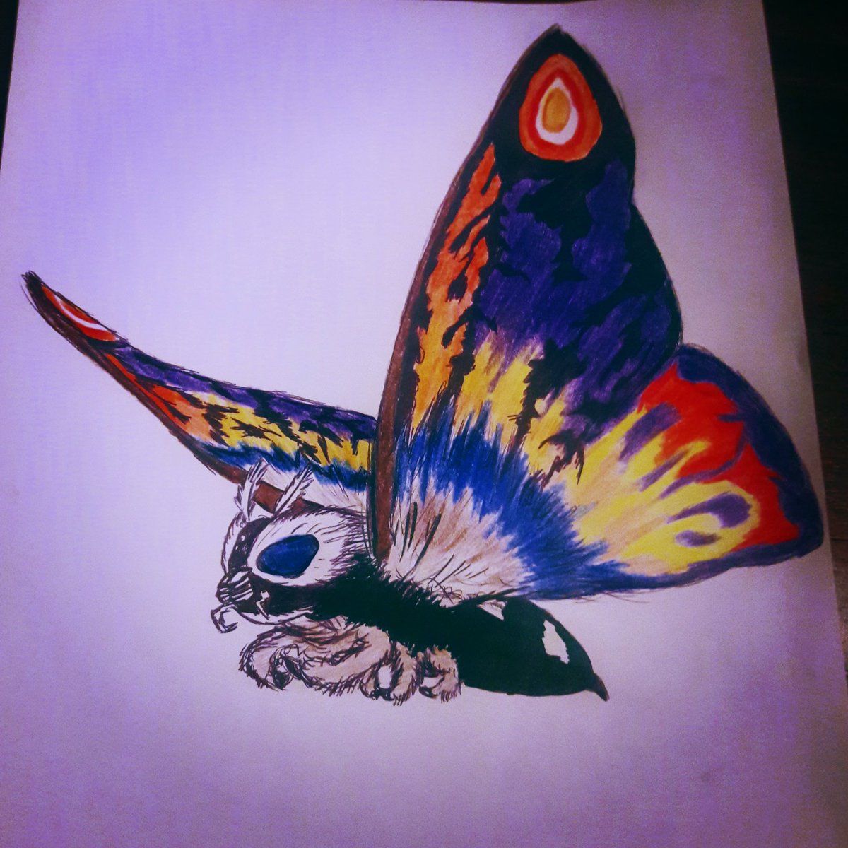 OsnapitzRandy's tweet photo. The Queen of Infant Island モスラ

#Mothra #GodzillaKingoftheMonsters #art #drawing https://t.co/Y2ZjCh3r9q
