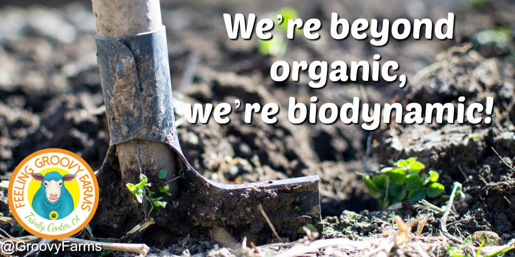 We believe in sustainable farming for a healthier planet and higher quality product. #BiodynamicFarm #SustainableFarming