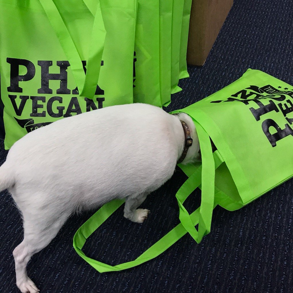 Our Chief of Treats is hard at work stuffing VIP bags for the festival this weekend! Avoid the lines and pre-buy! Tickets available at phxveganfest.com 

Use code NEIGHBOR for $5 off!
#phxveganfest #vegan