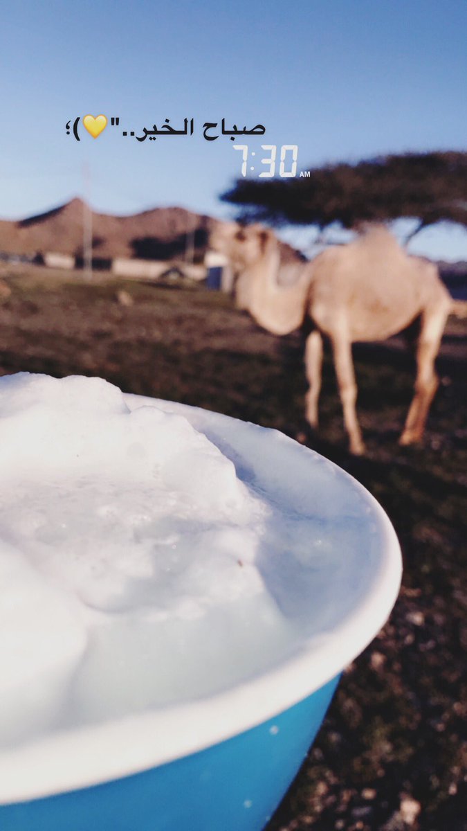 #صباح_الاربعاء

ياربُ يومًا جميلٌ يرضُينا
وأيام حُلوة تشابه طُهر الصبّح