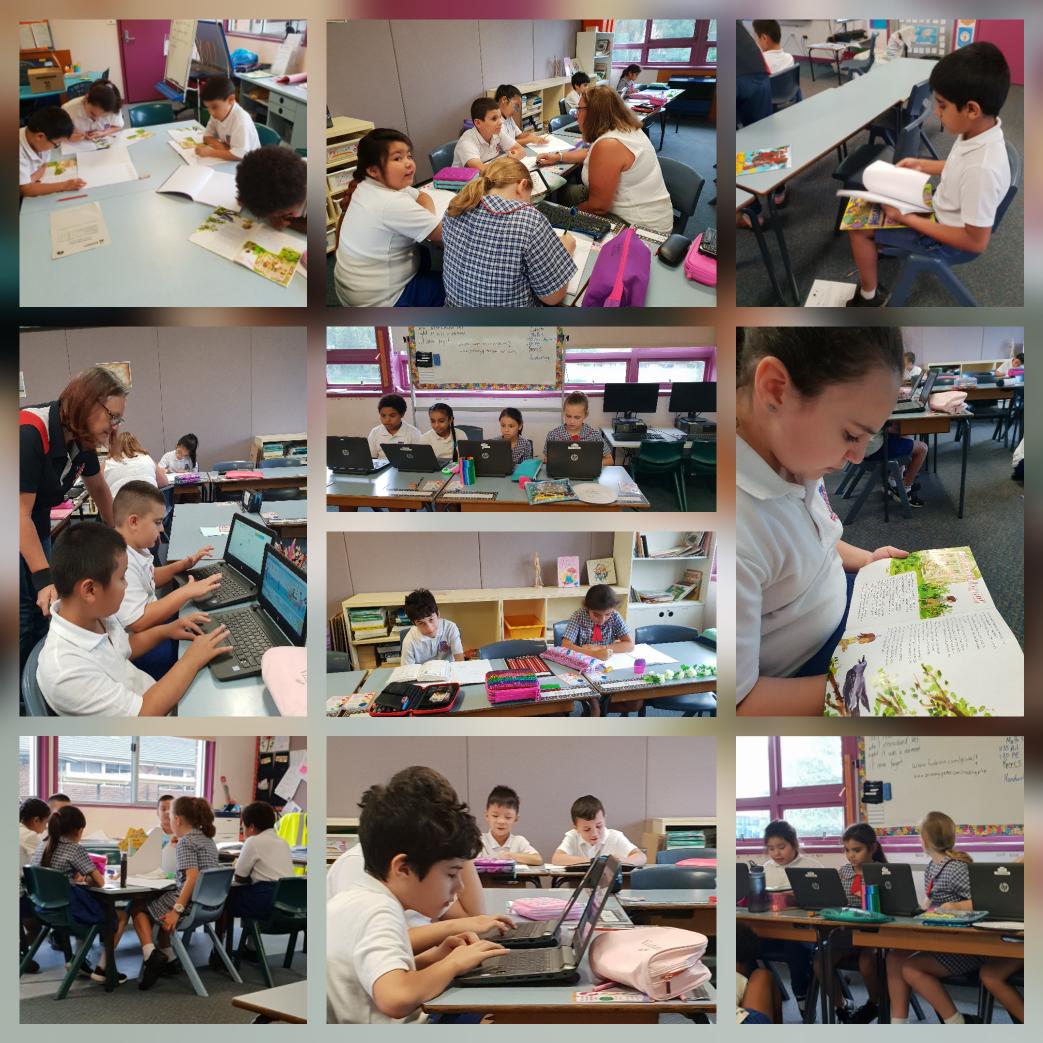 sia.radic (@siaradic) on Twitter photo Reading is fun. Student engagement is so important to their learning. The students enjoy their rotating activities. <a href="/narellenies1/">Narelle Nies</a> @MrsLouiseTate <a href="/RevesbyPS/">RevesbyPS</a> <a href="/CheahMilly/">Milly Cheah</a> <a href="/e_prasad78/">E Prasad</a> Reading is fun. Student engagement is so important to their learning. The students enjoy their rotating activities. <a href="/narellenies1/">Narelle Nies</a> @MrsLouiseTate <a href="/RevesbyPS/">RevesbyPS</a> <a href="/CheahMilly/">Milly Cheah</a> <a href="/e_prasad78/">E Prasad</a>