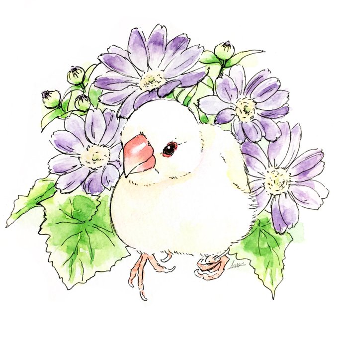 うちの白文鳥のtwitterイラスト検索結果