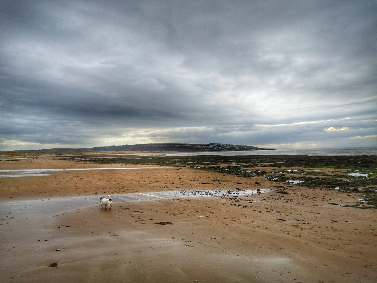 dogswindow's tweet photo. A bit chilly walking the dog but with a view like this who cares? #Porthcawl #jrt #dogswindow #seascape #Wales https://t.co/gzvW3D58AO