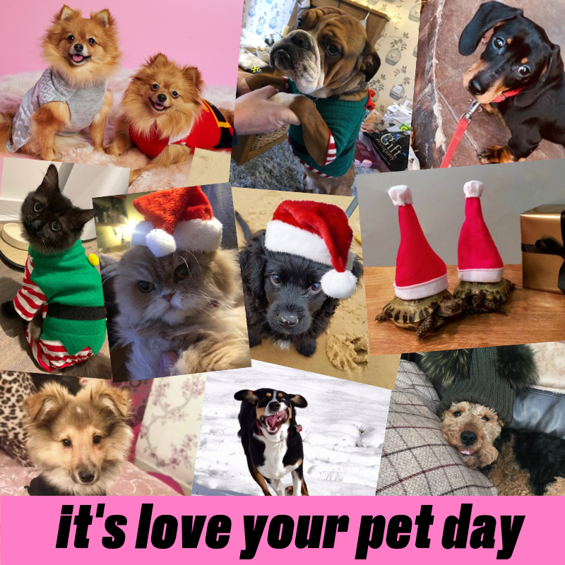 MissguidedHQ's tweet photo. Missguided colleagues love their pets and to celebrate ‘Love Your Pet Day’ we wanted to share just a few of the entries from our last Awesome Pawsome pet show. Who’s your favourite?
#MissguidedCareers #LoveLots #LoveYourPetDay #MissguidedVibes https://t.co/CqvduWCrXy