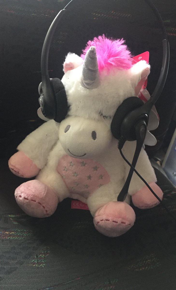 kkchops1's tweet image. Snoozing in an audio meeting #bobliveshere