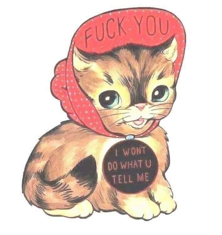 ApocalypseSTN tweet media