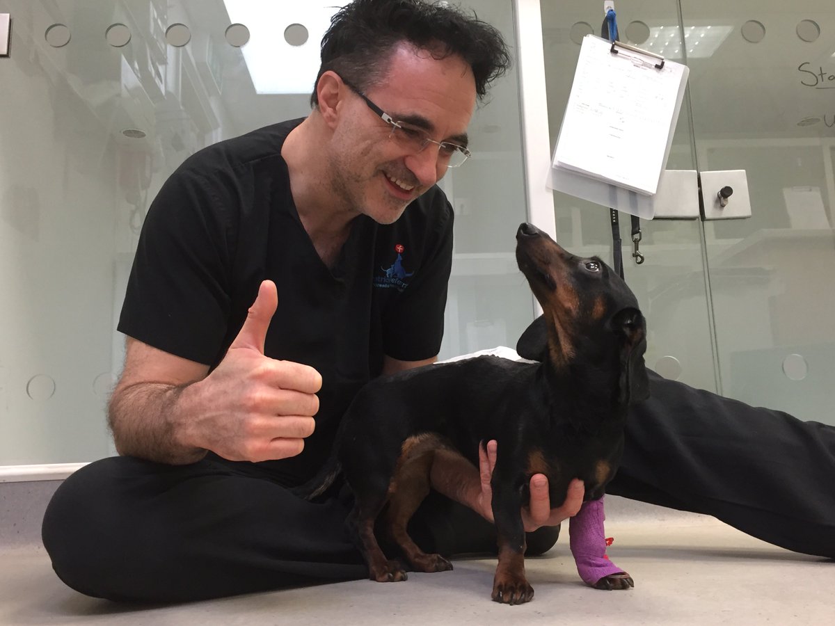 ProfNoelFitz's tweet image. The greatest families are made of all shapes and sizes. Happy #LoveYourPetDay - which we all know is actually every day of the year x