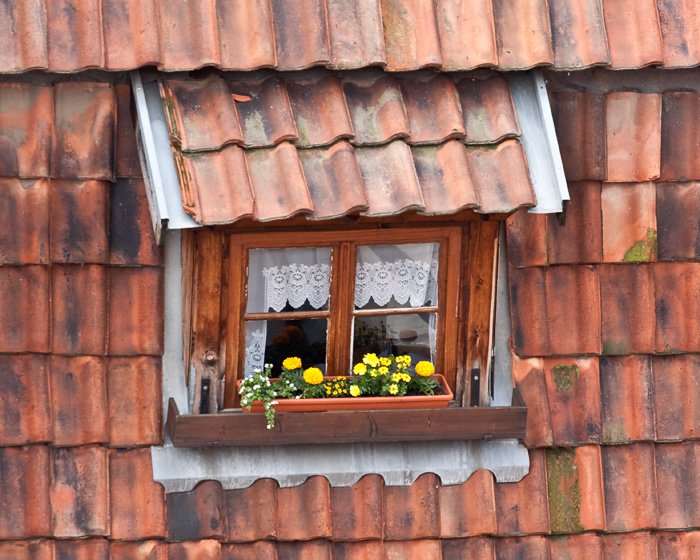 Bir güzel gün bitiminde batıdan. 
Ne siz, ne ben, ne başkası yalınız 
Bir unutulmuş koşudayız el ele, kol kola 
Bir şey yürüyor tıpır tıpır maceramızda 

#turgutuyar #şiir #edebiyat #Çarşamba