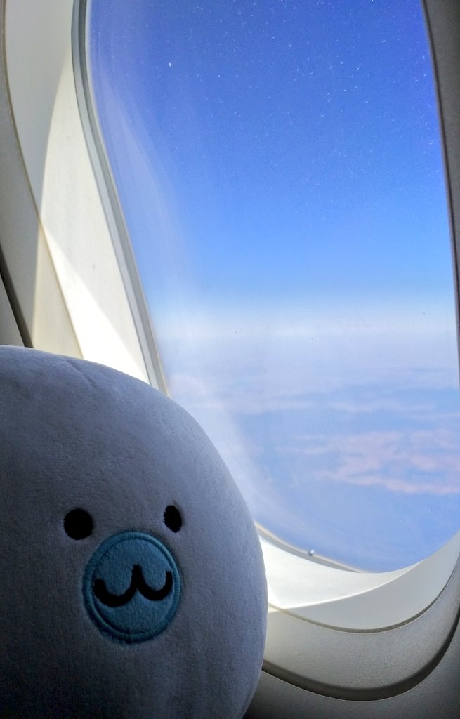 NINIZ_Angmond's tweet photo. 시드니✈멜버른
오늘도 역시 앙몬드와 함께 :-)
#니니즈 #앙몬드 #Angmond #호주 #여행 https://t.co/9MxuEX3KaA