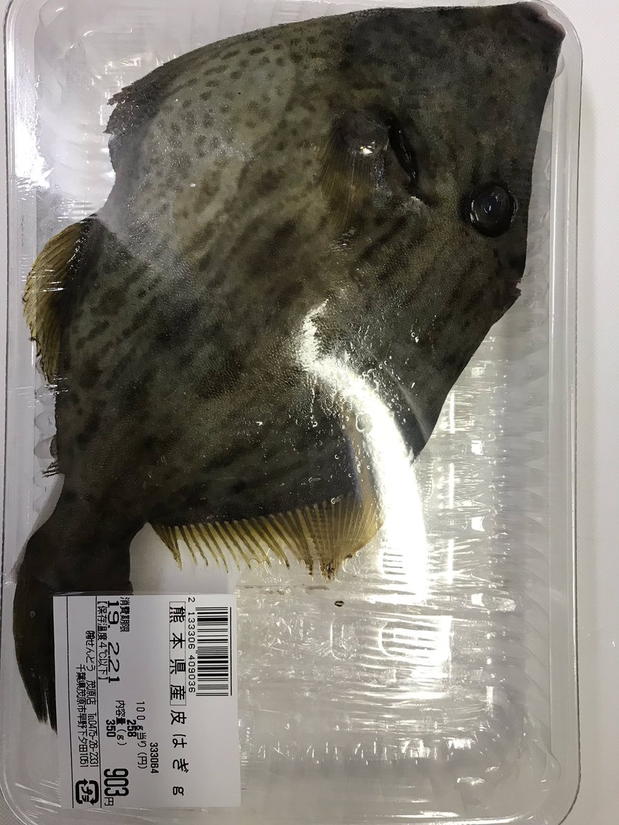 く え ん スーパー行ったらカワハギ置いてあるじゃん ってことで購入 とてもじゃないけど未知の魚すぎて捌けませんでしたってオチ 肝も良い感じだけど 鮮度とアニサキスが心配で食えない W T Co Baw05ce5gr Twitter