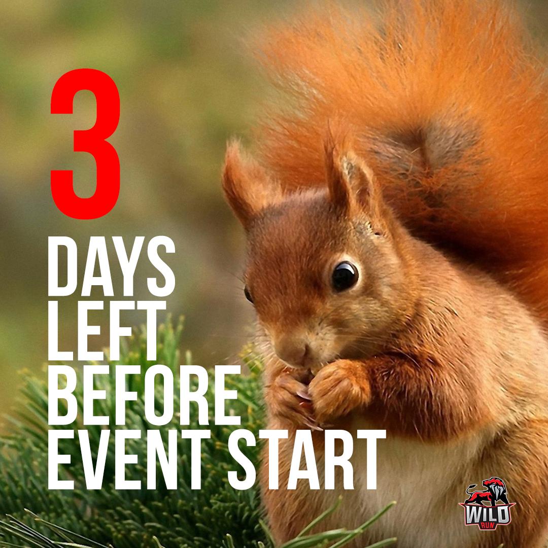 wildrunutm's tweet image. Runners! Are you ready! 🐯🐯🐯 3 days left!

Grab your running shoes and start practicing! It’s never too late ! 
Only 3 days left before you unleash the wildness inside you.

Sharpen your fangs. 🦁
Gather your strength. 🐘