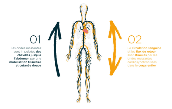 Stendo Laboratoire tweet media