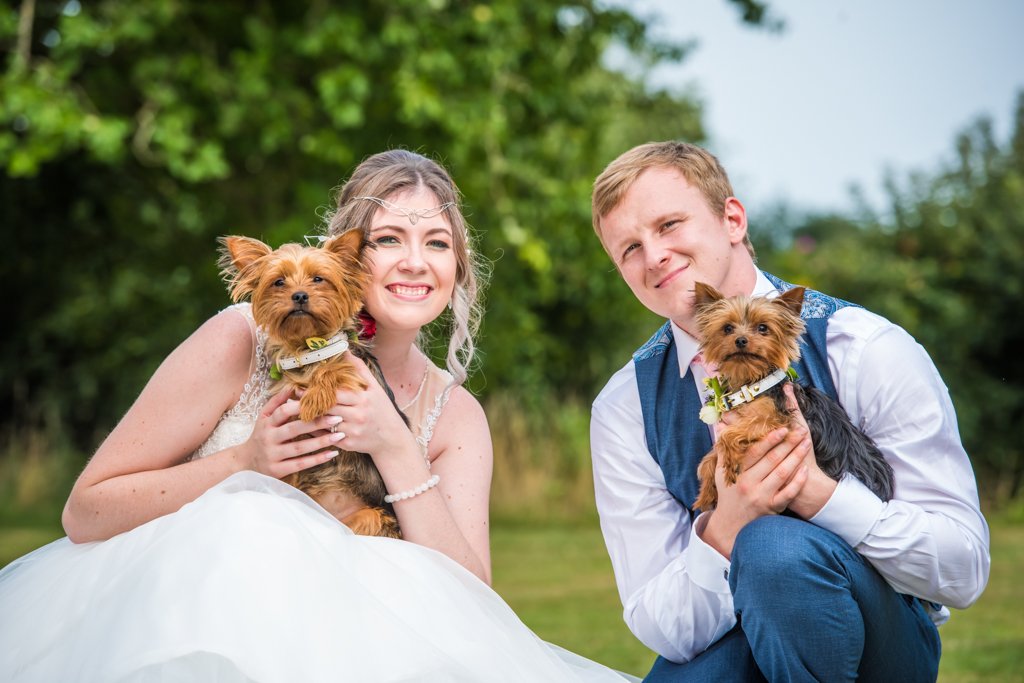 Dogs, weddings, dogs, weddings ... both! *heart explodes 😍
#LoveYourPetDay #wednesdaythoughts #WednesdayMorning