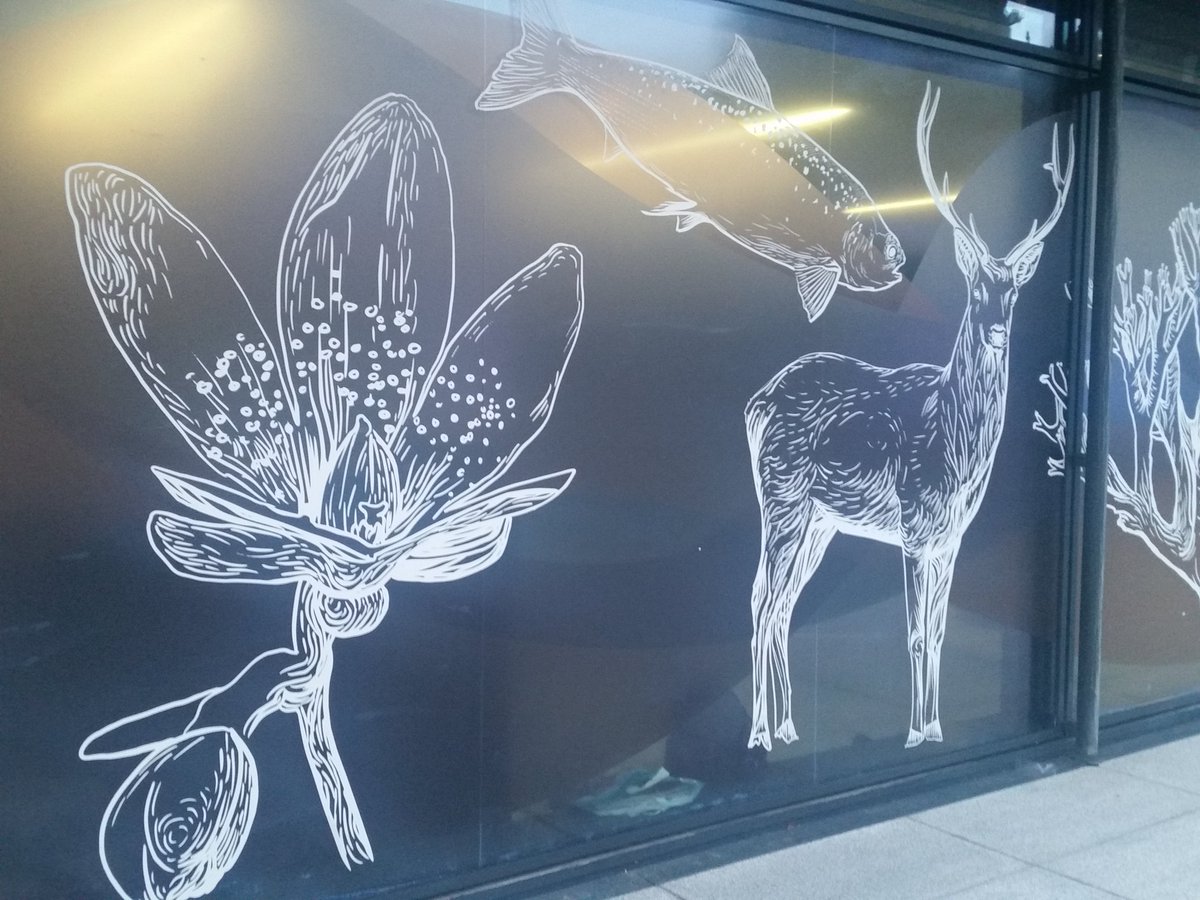 EimearMcNally's tweet image. At #biodcon19 today and tomorrow doing some #graphicrecording and visual tweets. This is going to be a fantastic event - it's live streaming if you can't make it.