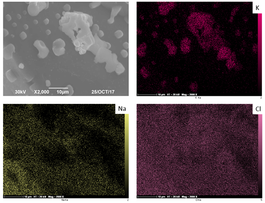 UL_Propuls's tweet photo. ZOOM sur quelques techniques de caractérisations des solides proposées par @Progepi et ses laboratoires partenaires. Si le sujet vous intéresse, le congrès #Cristal9 dédie une session sur ce thème. #microscopie #porosité  #LRGP #Progepi. Plus d'infos : https://t.co/UmCNSVsMl5 https://t.co/eOsprOtCHe