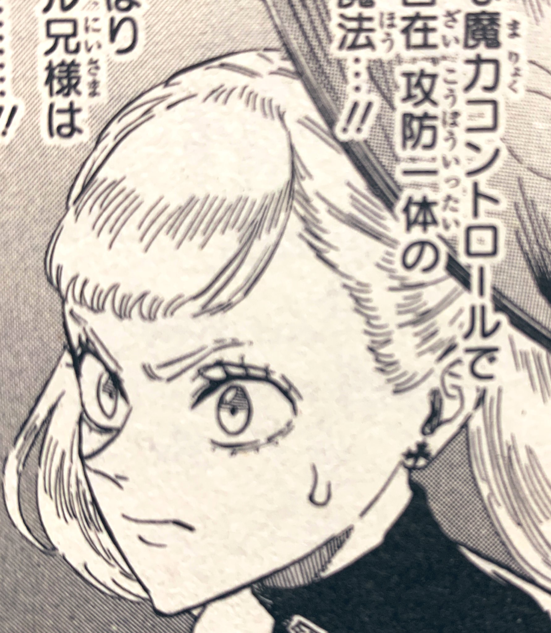 カスミツキ2 ミモザとテティアがクリソツ ってのはブラクロ考察界隈では周知の事実だけど やはり関連事項の考察として ノエルとテティア兄の顔の造形も実はかなり似ている というのは覚えておきたい T Co J0oc9ilswr Twitter