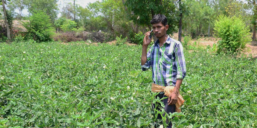 ril_foundation's tweet photo. #Odisha ’s farmer Subhendra used #RF ‘s helpline &amp; #Jio Chat for expert advice on fertilizer &amp; pest management. This helped him save his paddy crop from pest attacks &amp; boost his paddy output during Kharif &amp; Rabi by 46.5 quintals, earning him Rs.72,075 extra. #RFEnhancingLives https://t.co/5nM40ykf47