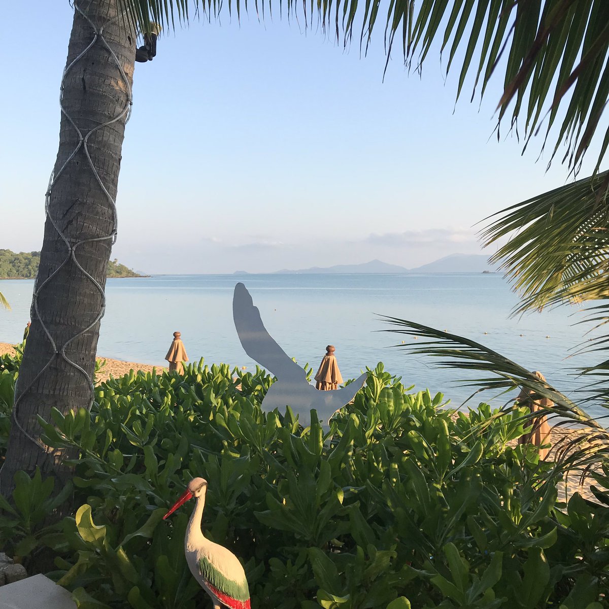 Tedd Walmsley tweet media