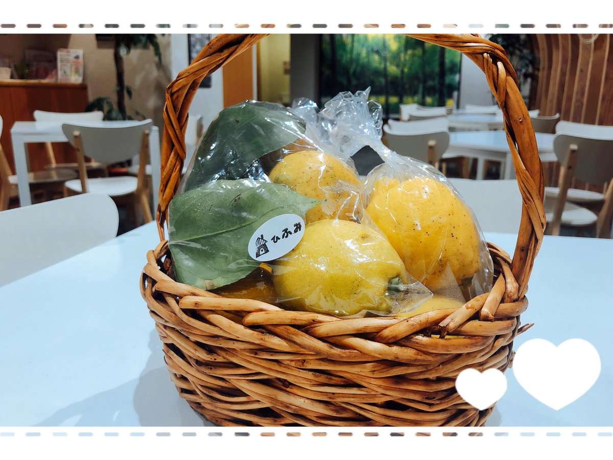 化学農薬、肥料を使わずに育った
ちょっぴり不揃いな広島産自然栽培レモン入荷致しました‼️
3〜4個入りで、400円〜600円。