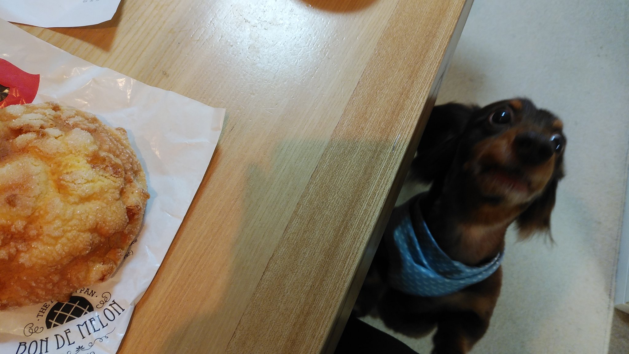 川越メロンパン Twitter Search Twitter