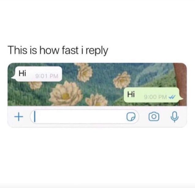TickMemes's tweet image. Her: Replies every hour
Me: