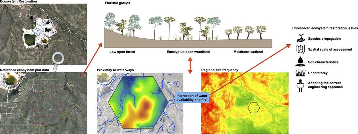 Renee Bartolo (@reneebartolo) on Twitter photo Our latest publication on using reference sites to guide #ecologicalrestoration Scale of sampling to derive closure criteria is key. You can download the paper from here: authors.elsevier.com/a/1YURV3IW-wbm…
#ecologicalengineering #mineclosure Our latest publication on using reference sites to guide #ecologicalrestoration Scale of sampling to derive closure criteria is key. You can download the paper from here: authors.elsevier.com/a/1YURV3IW-wbm…
#ecologicalengineering #mineclosure