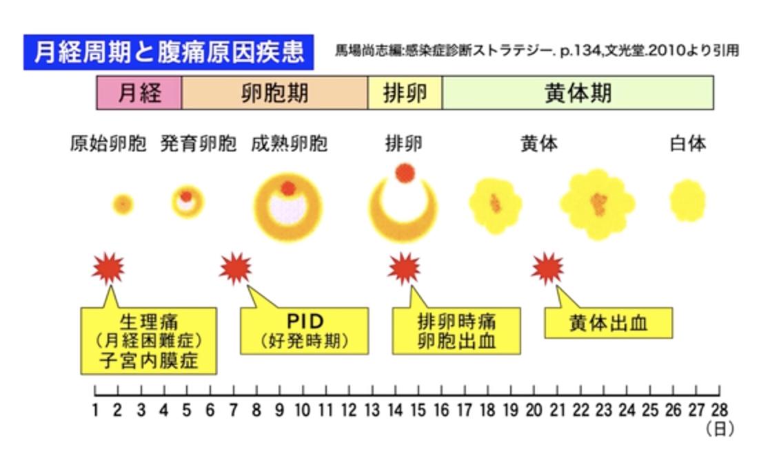 排卵 出血 と は