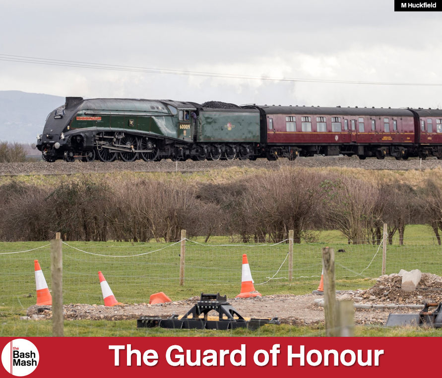 thebashmash tweet picture