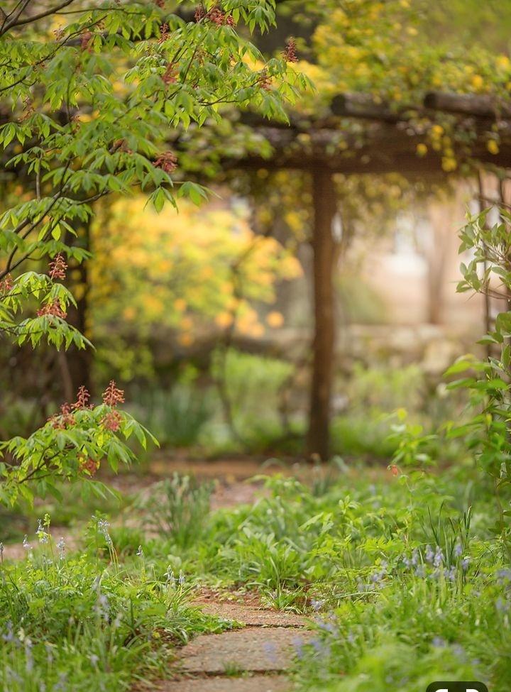 Fact840's tweet image. 