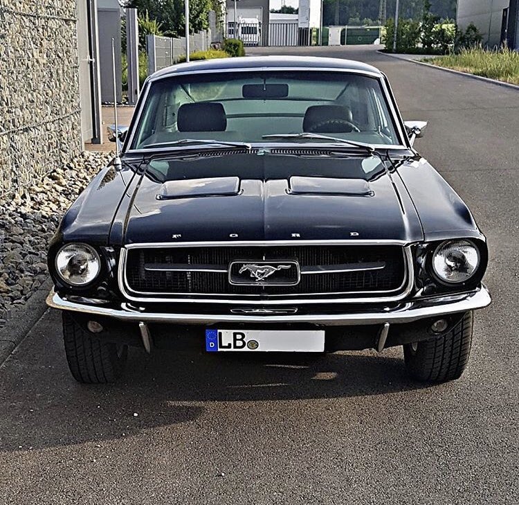 Muscle Cars tweet media