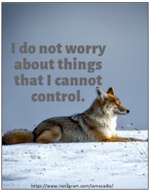 AcadiaBc's tweet image. #affirmations #letgo #controlissues #Growth #spiritualawakening #spiritualgrowth #ControllerGang #thequickbrownfox #iAintWorried