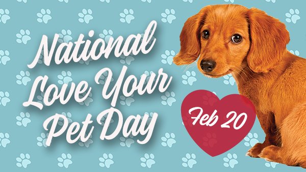 national love your pet day